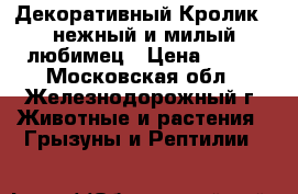 Декоративный Кролик - нежный и милый любимец › Цена ­ 500 - Московская обл., Железнодорожный г. Животные и растения » Грызуны и Рептилии   